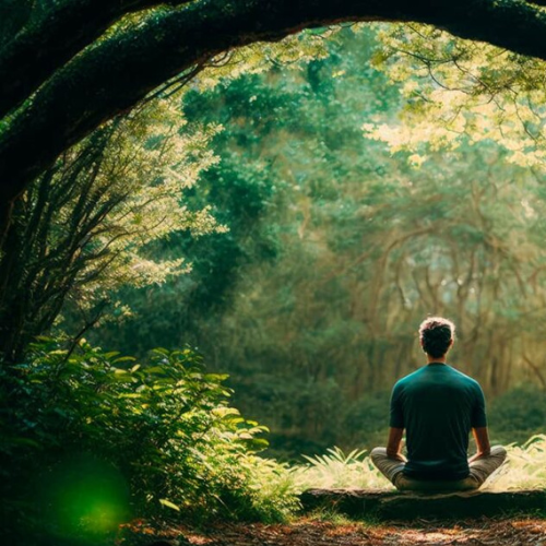 Lee más sobre el artículo Meditación y Charla de Budismo práctico: Un viaje a lo profundo