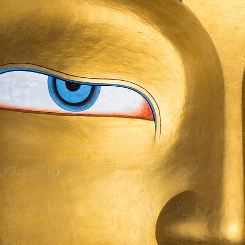 Lee más sobre el artículo Curso de meditación: Ver con los ojos del Buda. Las cuatro nobles verdades