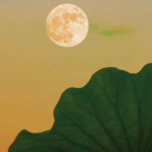 Lee más sobre el artículo Budismo y Meditación: La urgencia del Despertar